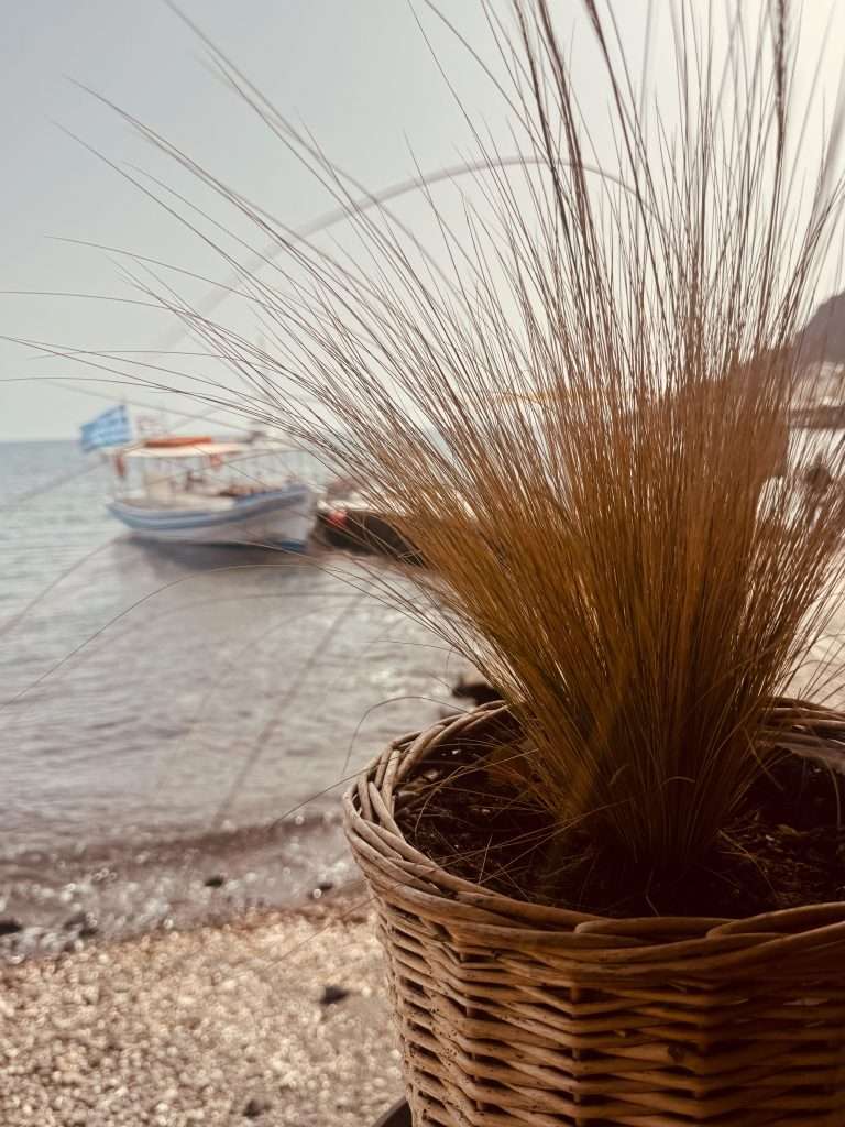 melina's tavern sea side view Santorini