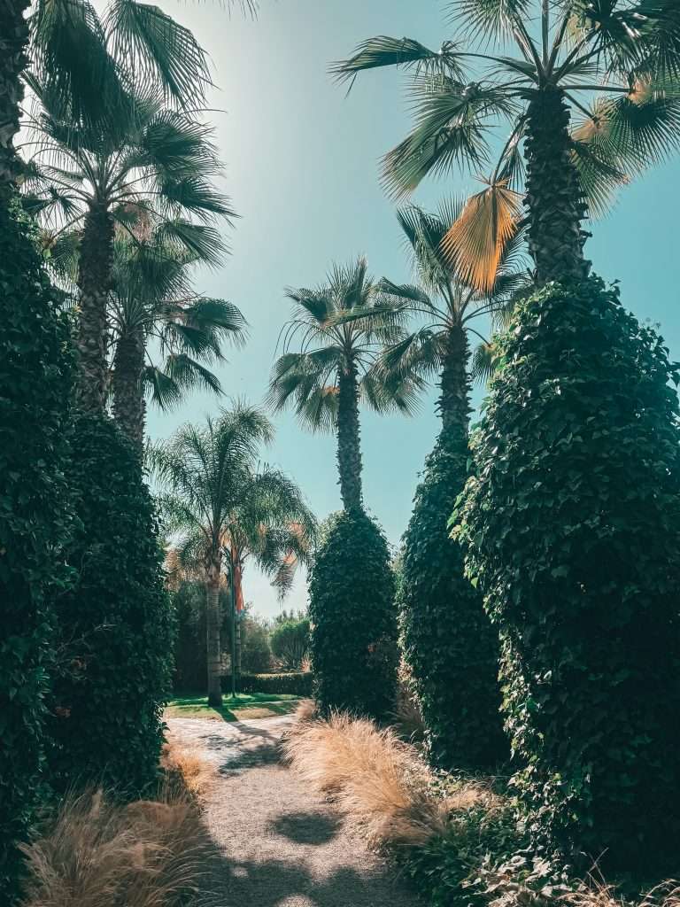 Anima Garden Marrakech Seeds of Travel