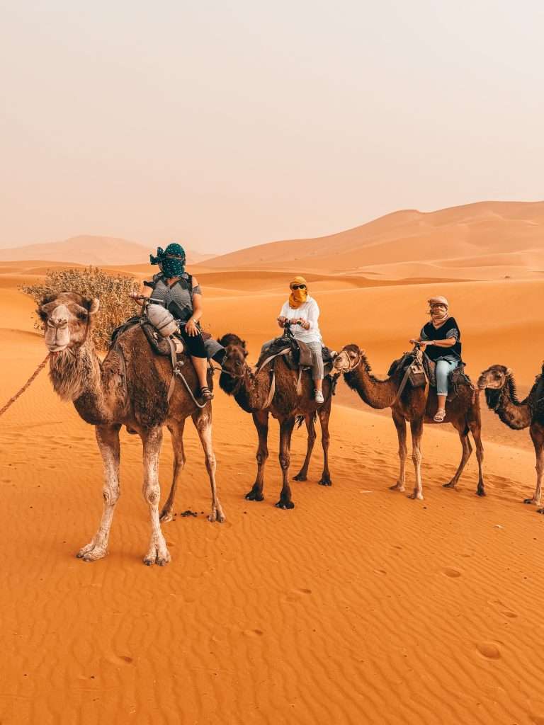 Sahara Desert