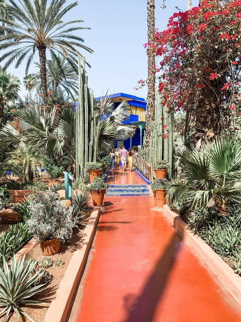 Majorelle Gardens Marrakech Seeds of Travel
