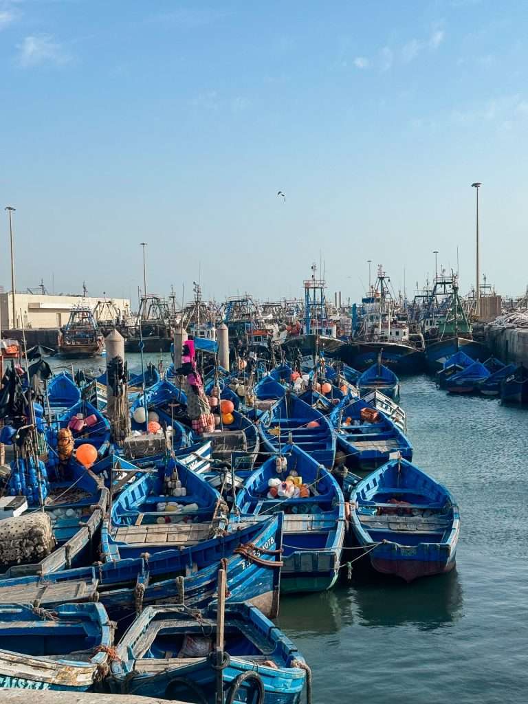Essaouira Fishing Boats