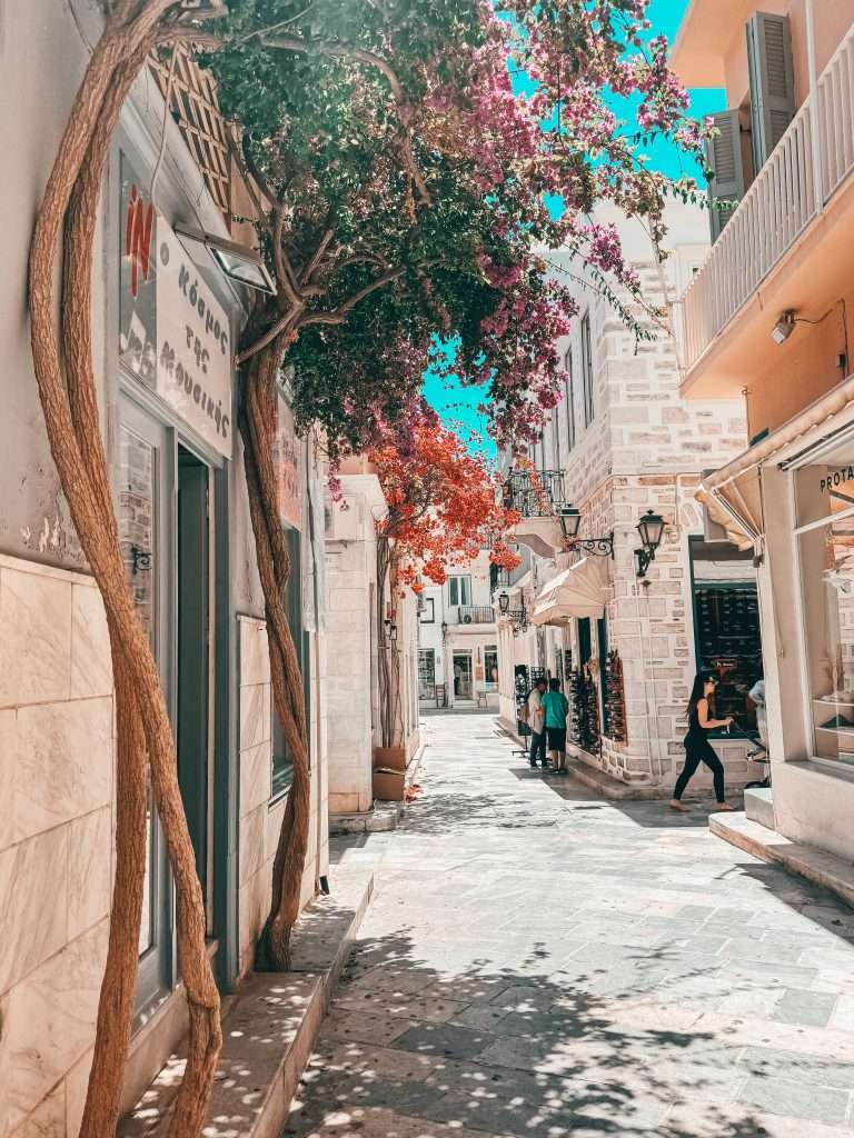 street in syros with bushes