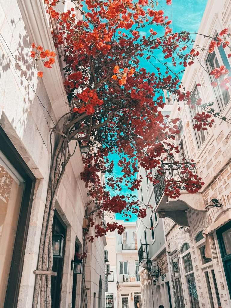 Syros Greek Island
