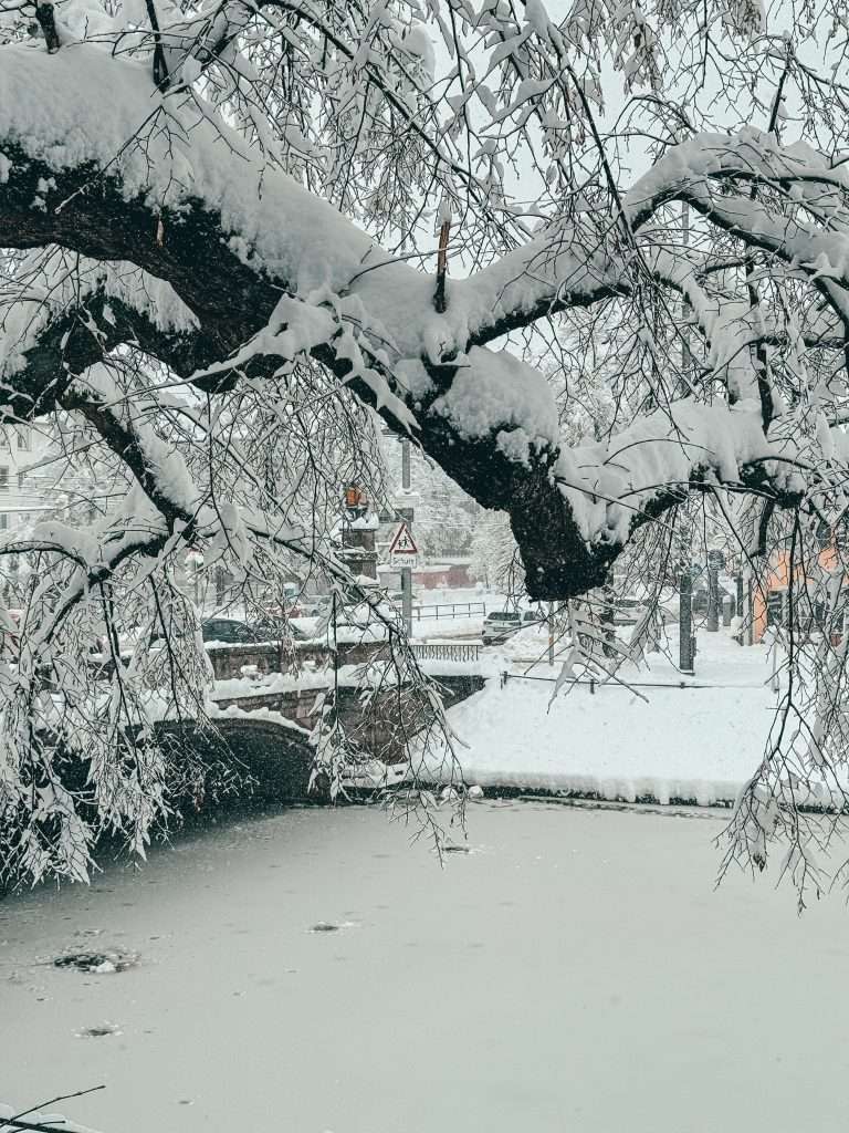 Snow-covered streets and buildings in Munich, with a picturesque winter landscape featuring frosted trees and a serene, white blanket of snow.