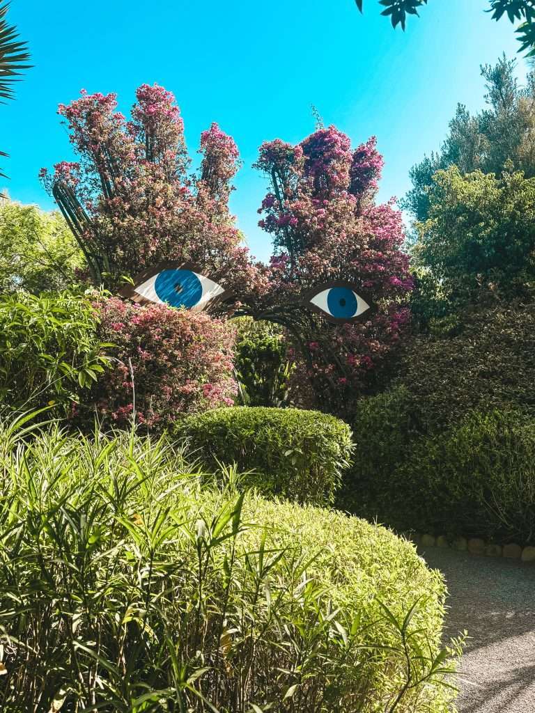 Anima Garden Seeds of Travel