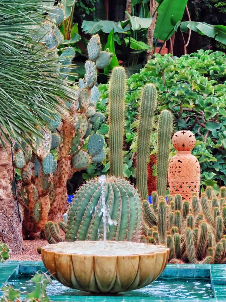 Jardin Majorelle Marrakech