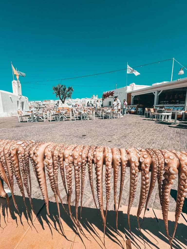 Octopus in Naoussa Paros
