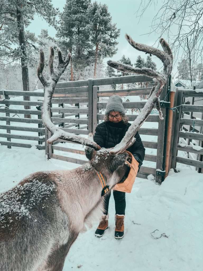 Reindeer Farm